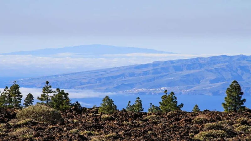 From South Tenerife: Half-Day Tour to Mount Teide - Transportation and Practical Details