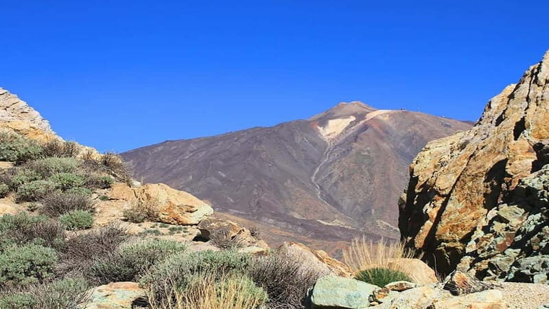 From South Tenerife: Half-Day Tour to Mount Teide - Who Will Love This Tour?