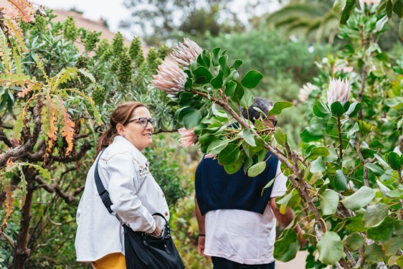 From South Tenerife: La Gomera Island Day Trip with Lunch - Key Points