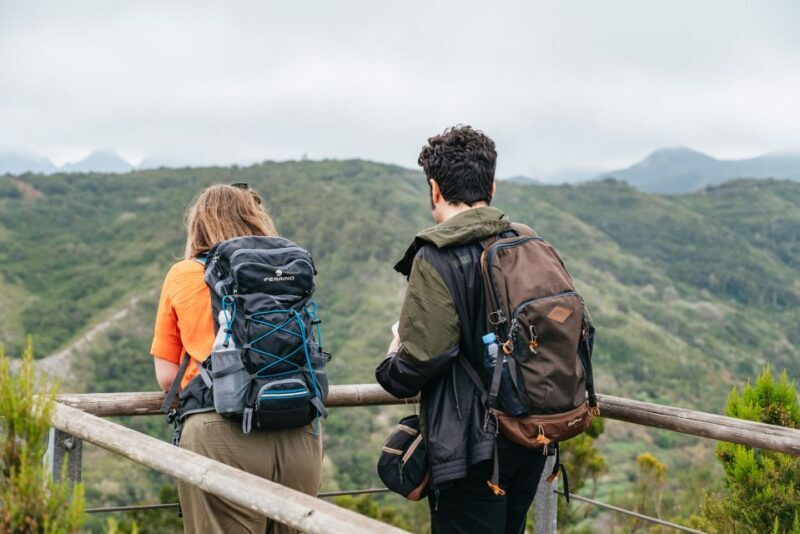 From South Tenerife: La Gomera Island Day Trip with Lunch - The Value Proposition