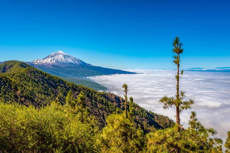 From South Tenerife: Mount Teide Hiking Day Trip & Cable Car - Practical Tips for Your Trip