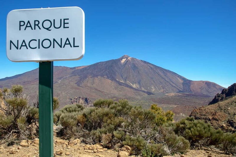 From South Tenerife: Mount Teide Hiking Day Trip & Cable Car - The Sum Up