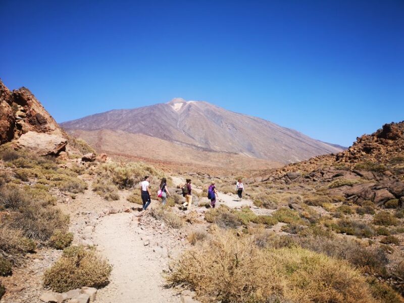 From South Tenerife: Teide National Park Tour - A Closer Look at the Itinerary