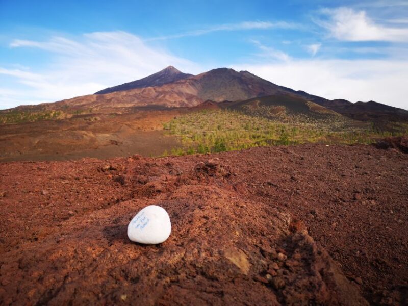From South Tenerife: Teide National Park Tour - Who Should Consider This Tour?