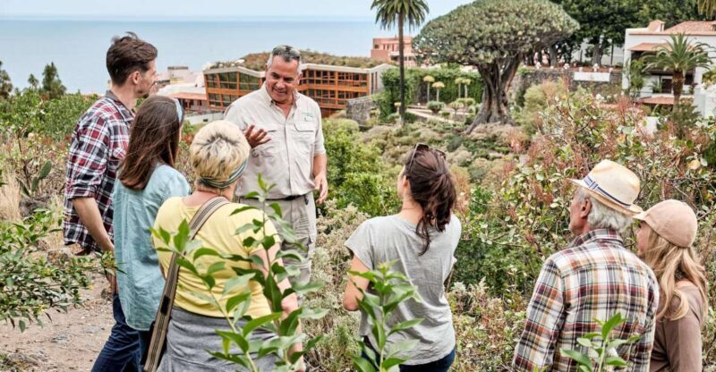 From South Tenerife: VIP Grand Tour Tenerife island - Key Points