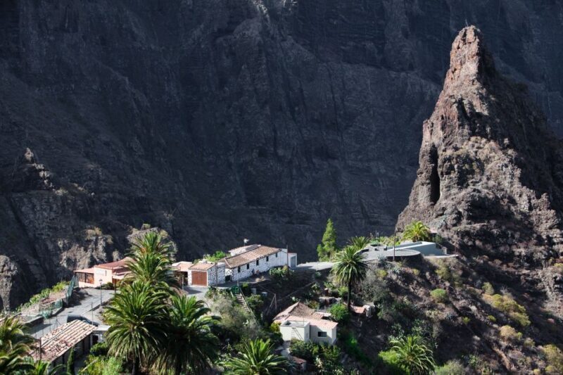 From South Tenerife: VIP Grand Tour Tenerife island - An In-Depth Look at the Tenerife VIP Grand Tour