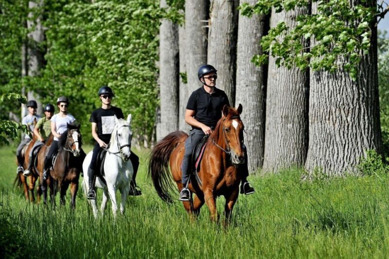 From Split: All-Inclusive Horse Riding and Jeep Exploration - Who Will Love This Tour?