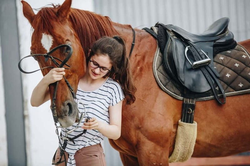 From Split: All-Inclusive Horse Riding and Jeep Exploration - The Sum Up: Is It Worth It?
