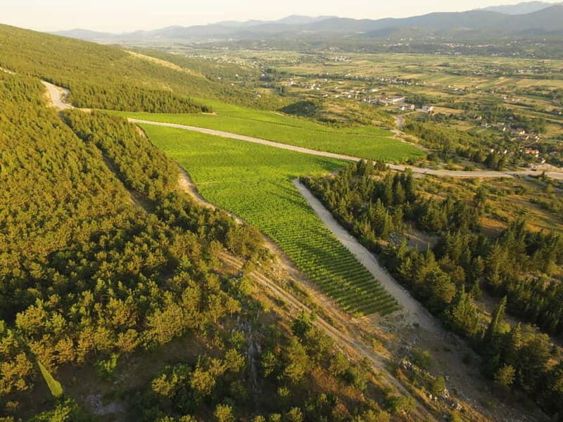 From Split: Blue and Red Lakes and Winery Grabovac Tour - The Winery Experience