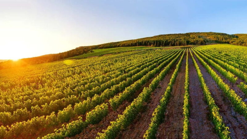 From Split: Blue and Red Lakes and Winery Grabovac Tour - Logistics and Practicalities