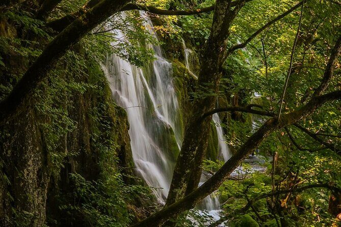 From Split: Discover Plitvice Lakes~Guided Group Adventure Awaits - Key Points