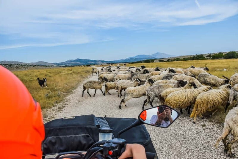 From Split: Full-Day Horse Riding & Quad Biking with Lunch - An Introduction to Croatia’s Adventure Landscape