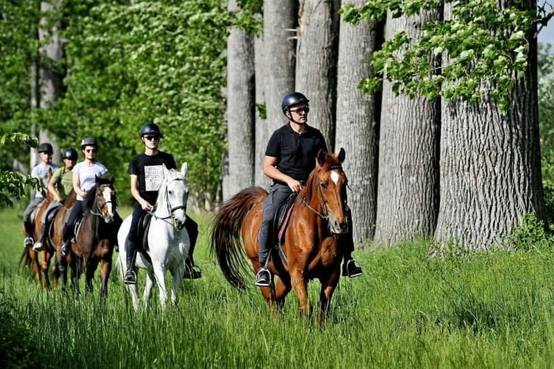 From Split: Full-Day Horse Riding & Quad Biking with Lunch - Who Should Consider This Tour?