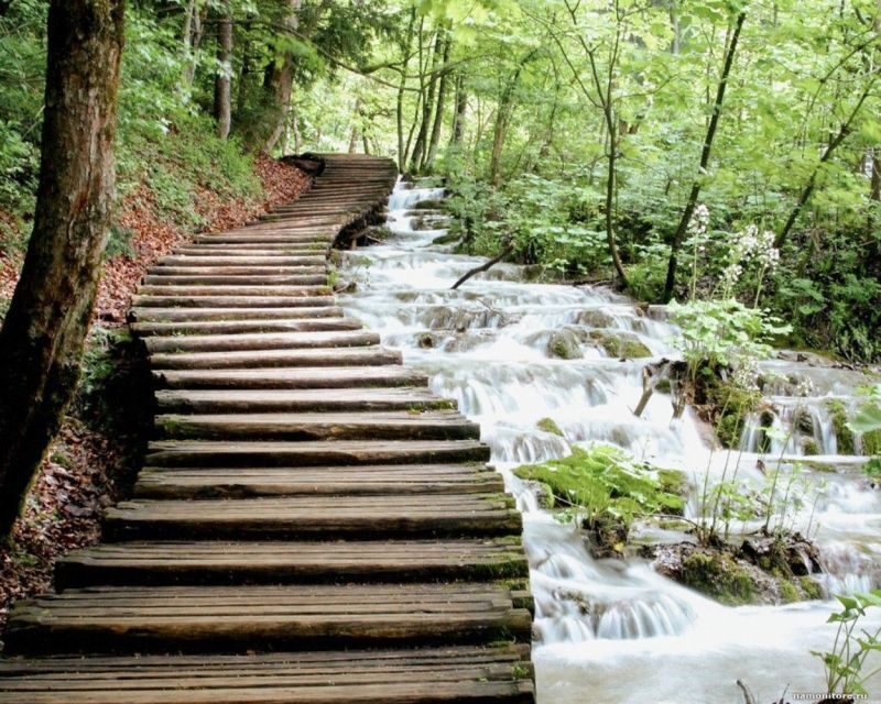 From Split or Trogir: Plitvice Lakes Guided Full-Day Tour - Who Should Consider This Tour?