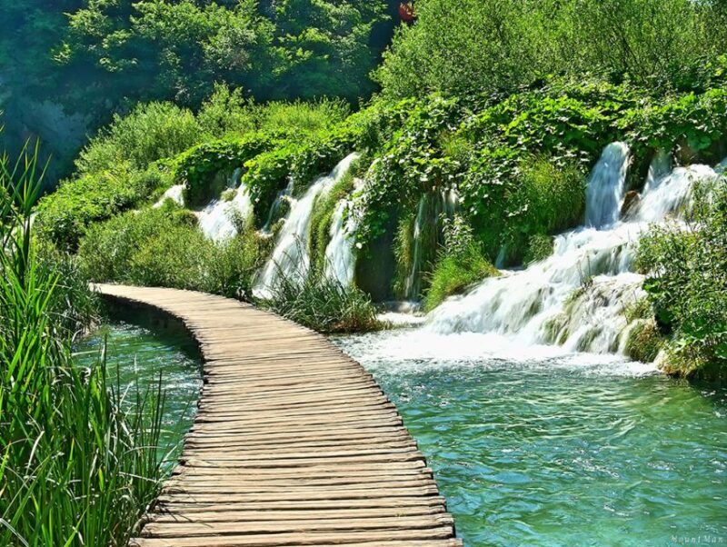 From Split or Trogir: Plitvice Lakes Private Tour - Authentic Experiences and Feedback
