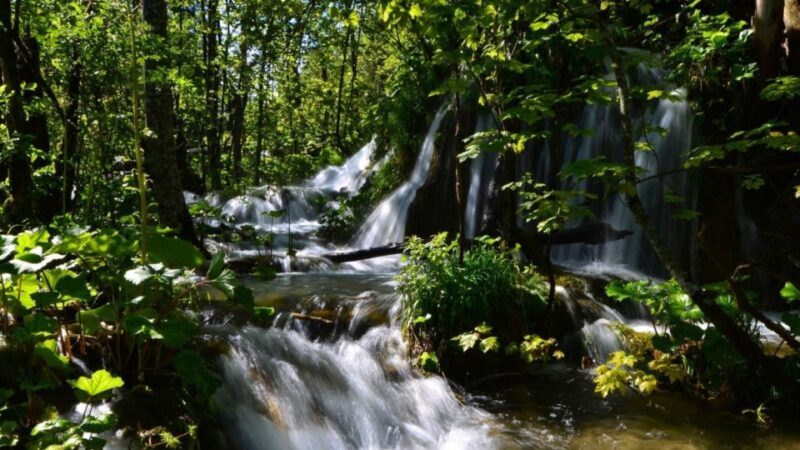 From Split or Trogir: Plitvice Lakes Trip with Entry Ticket - The Itinerary and Its Highlights