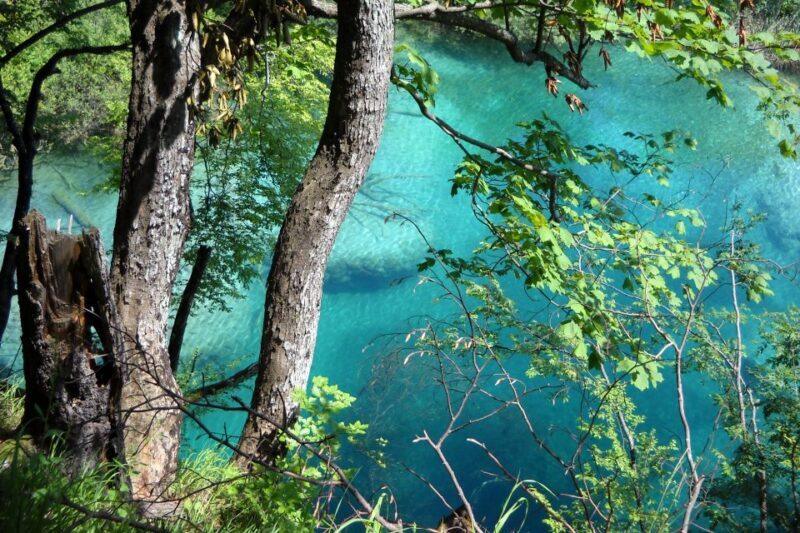 From Split: Plitvice Lakes Fully-Guided Day Tour - Key Points