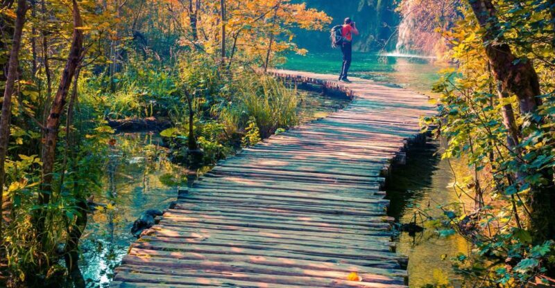 From Split: Plitvice Lakes Guided Tour with Entry Tickets - Authentic Experiences and Traveler Insights