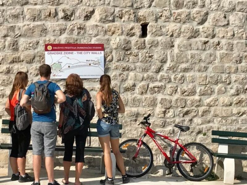 From Split & Trogir: Peljeac Peninsula Food & Wine Tour - Lunch and Wine Tasting: A Feast for the Senses