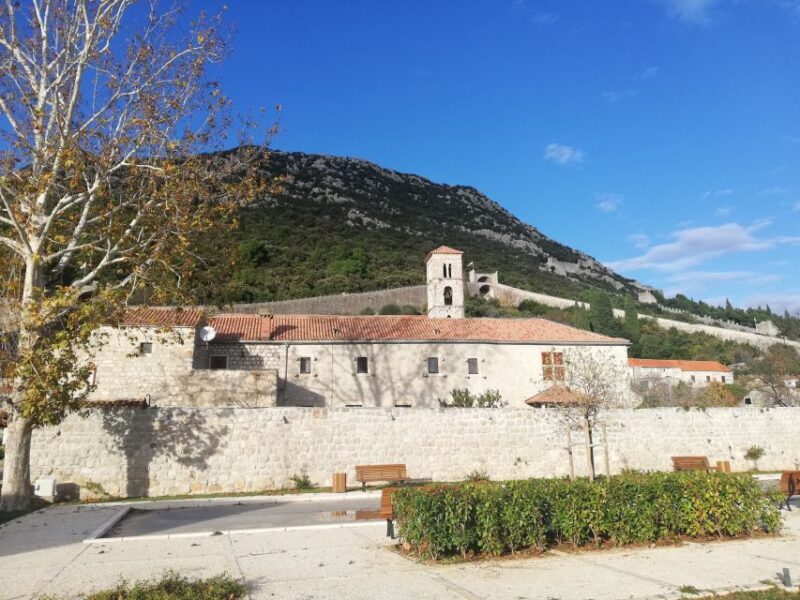 From Split & Trogir: Peljeac Peninsula Food & Wine Tour - Authenticity and Value