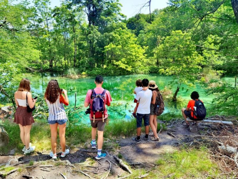 From Split/Trogir: Plitvice Lakes Guided Group Tour - FAQs