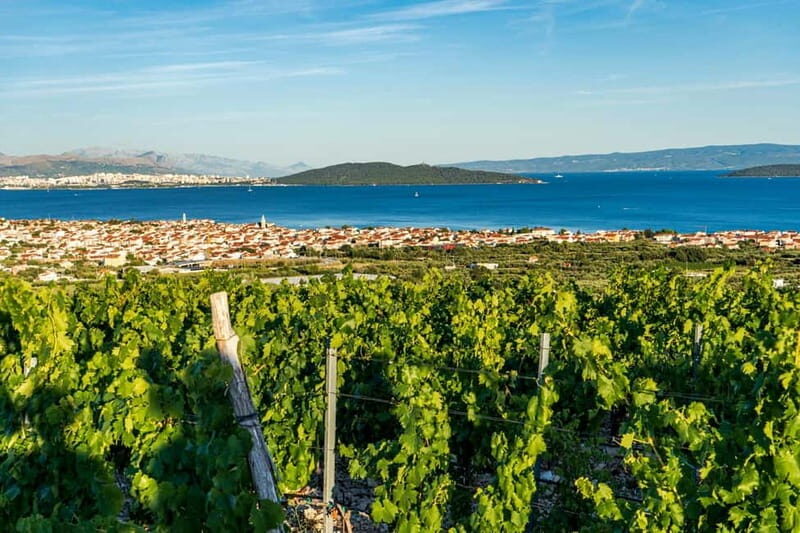 From Split: Vineyard Wine Tasting Experience with a Sea View - FAQ