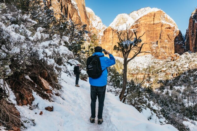 From Springdale: 4-hour Zion Canyon Scenic Hiking Tour - Exploring Zion Canyon in Style and Comfort