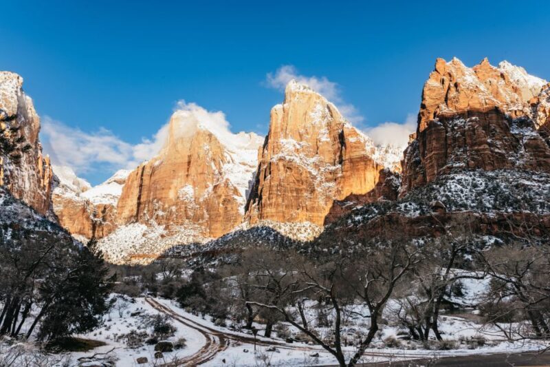 From Springdale: 4-hour Zion Canyon Scenic Hiking Tour - The Experience in Detail