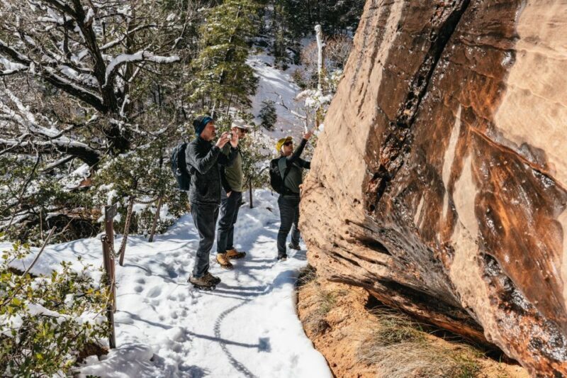From Springdale: 4-hour Zion Canyon Scenic Hiking Tour - The Value of This Guided Tour