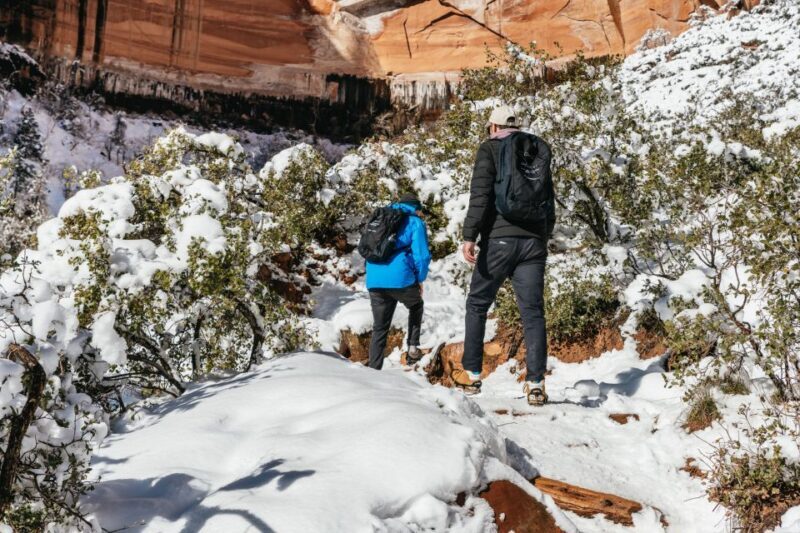 From Springdale: 4-hour Zion Canyon Scenic Hiking Tour - Who Would Love This Tour?