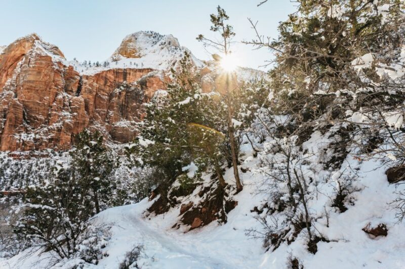 From Springdale: 4-hour Zion Canyon Scenic Hiking Tour - The Sum Up