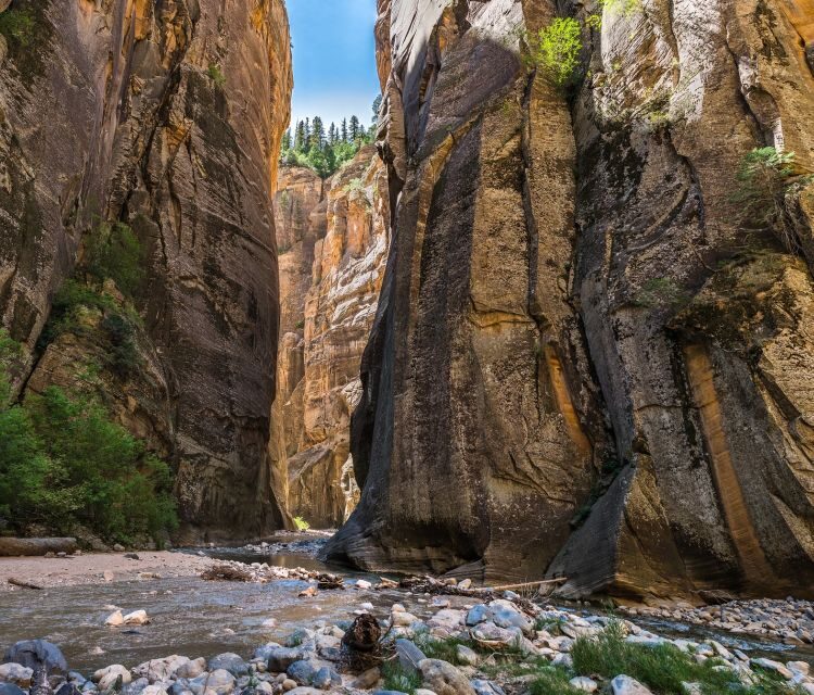 From Springdale: The Zion Narrows Hike with Lunch - Key Points