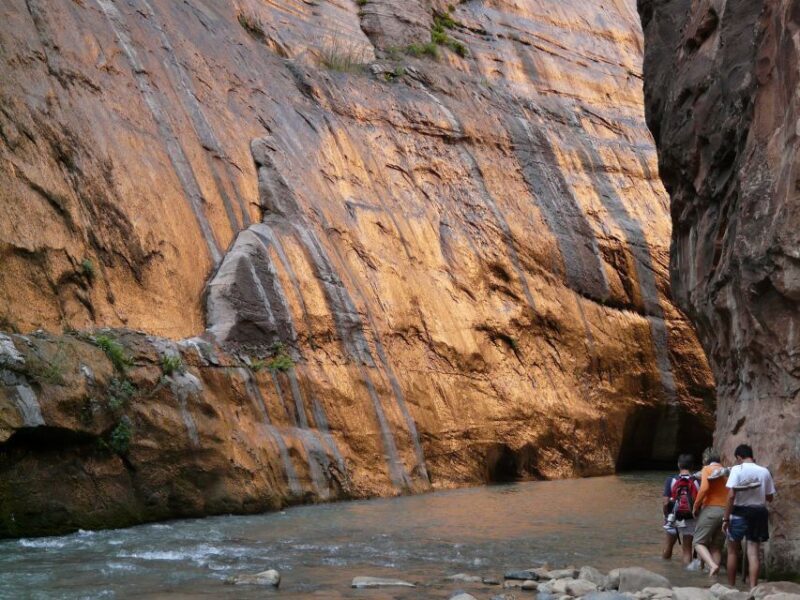 From Springdale: The Zion Narrows Hike with Lunch - Starting Point and Logistics