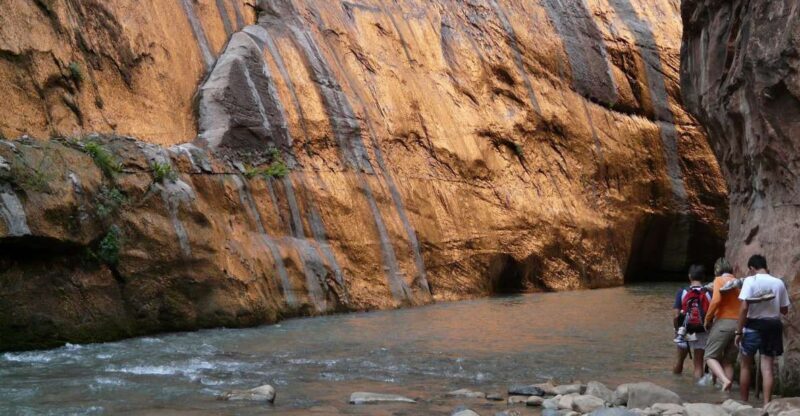 From Springdale: The Zion Narrows Hike with Lunch - The Water and Gear: Peace of Mind