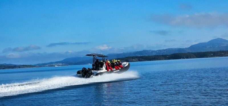 From Stavanger: Lysefjord Sightseeing RIB Boat Tour - In The Sum Up