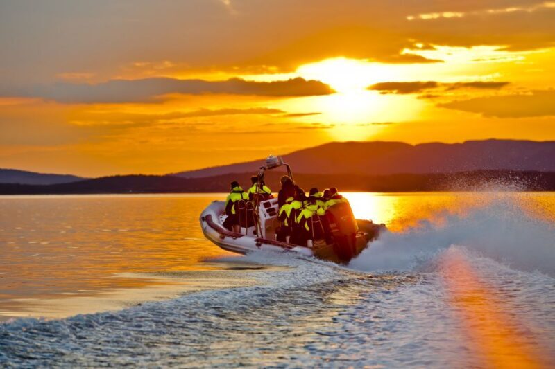 From Stavanger: RIB Tour to Lysefjord - Wildlife and Unique Experiences