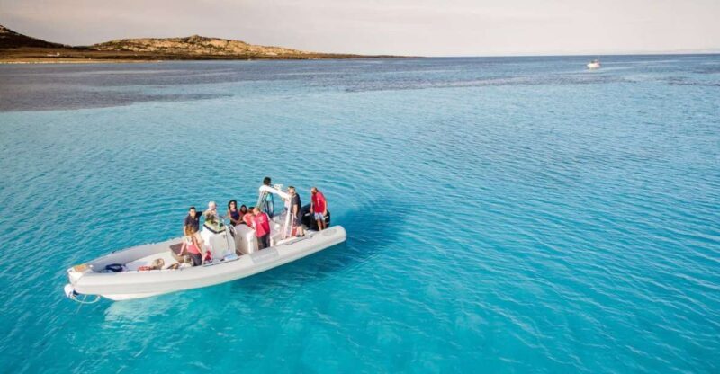 From Stintino: Half-day dinghy tour in Asinara Gulf - Key Points
