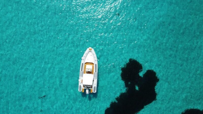 From Stintino: Half-day dinghy tour in Asinara Gulf - In-Depth Review