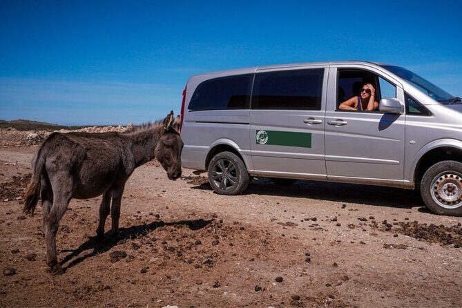 From Stintino: minivan tour of Asinara - Who Should Consider This Tour?