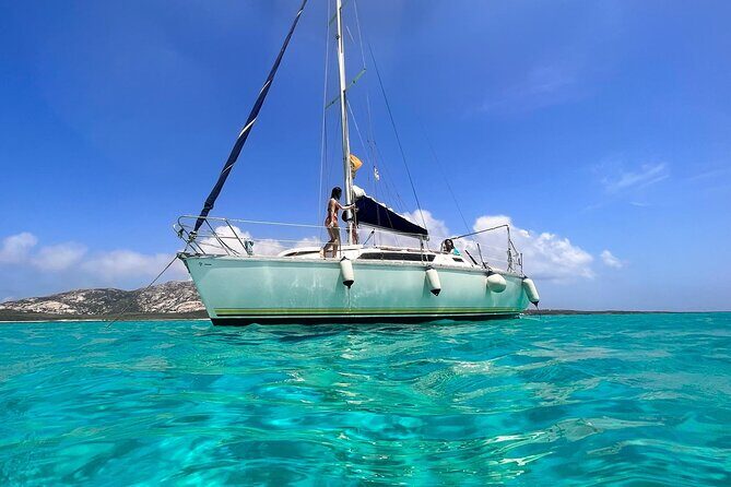 From Stintino: sailboat tour to Asinara - Who Will Love This Experience?
