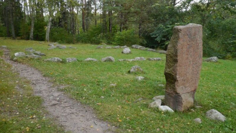 From Stockholm: Viking Culture Guided Tour with Transfer - Final Thoughts: Who Will Love This Tour?