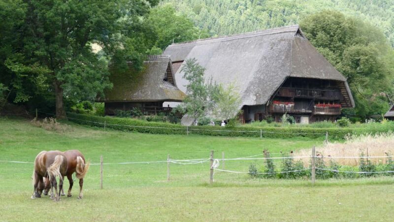 From Strasbourg: Black Forest Day Trip with Guide & Museum - The Sum Up: Is This Tour Right for You?
