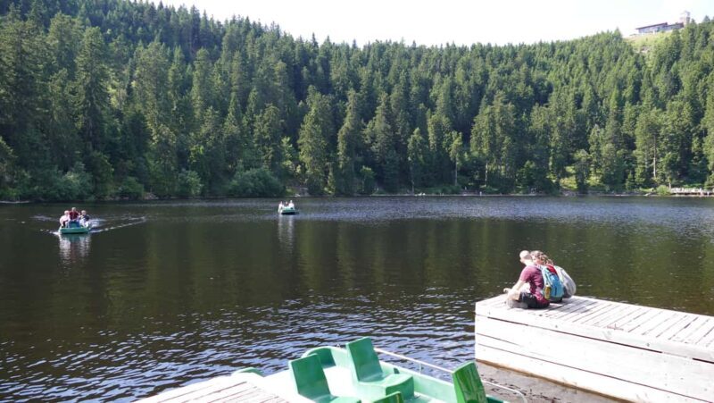 From Strasbourg: Black Forest Day Trip with Guide & Museum - Frequently Asked Questions
