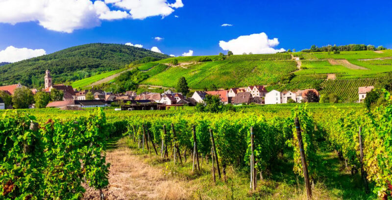 From Strasbourg: Half-Day Tour of Alsace Villages - Authentic Reviews and Traveler Insights