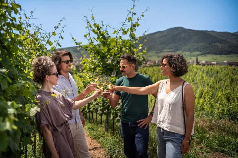 From Strasbourg: Private Alsace Classic Wine Tour - Key Points