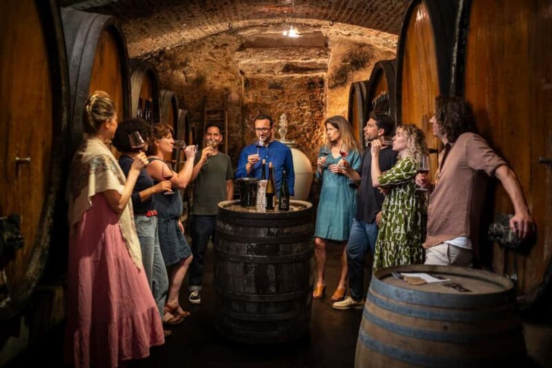 From Strasbourg: Private Alsace Classic Wine Tour - Exploring the Itinerary: What to Expect on Your Alsace Wine Tour