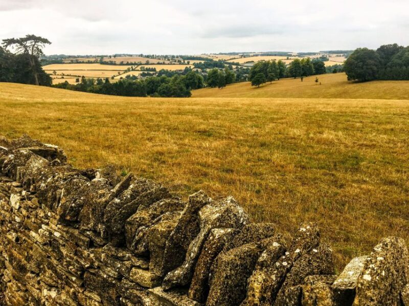 From Stratford-on-Avon/Moreton-in-Marsh: Secret Cotswolds - Who Will Love This Tour?