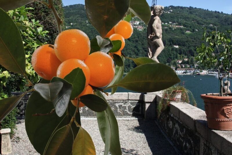 From Stresa: 2 Borromean Islands Hop-on Hop-off Boat Tour - Final Thoughts
