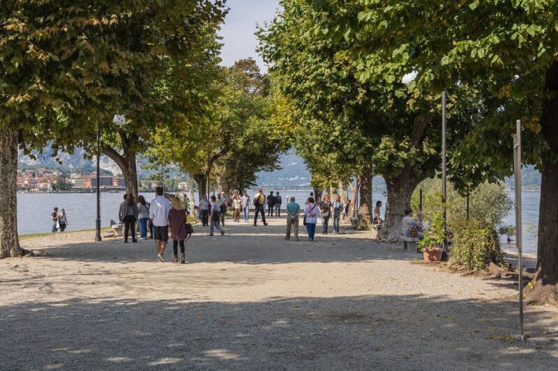 From Stresa: Isola Pescatori Hop-On Hop-Off Boat Tour - The Basics: What You Get