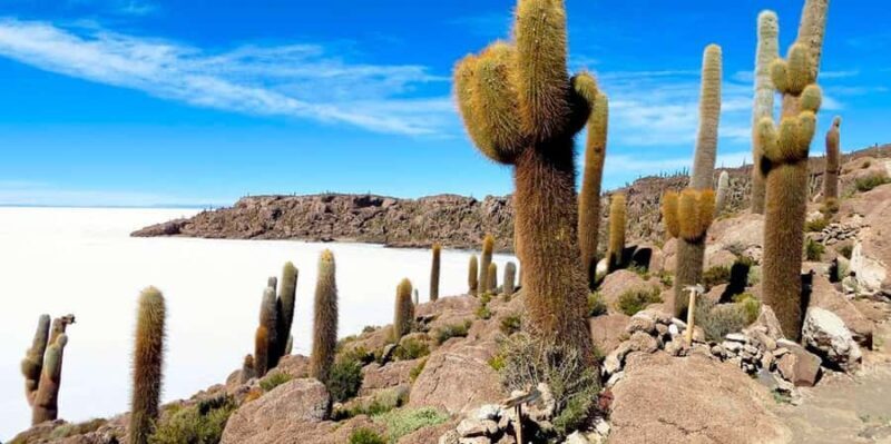From Sucre Excursion to the Salar de Uyuni 2 days 1 night - Exploring Bolivia’s Salt Flat: A Detailed Review